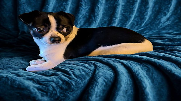 gabby_optimized_700x394 (2)